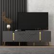 DemonteHome Detasdh 150 Cm Lazer Desenli̇ Tv Üni̇tesi̇ Antrasi̇t-Altin