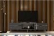 DemonteHome Li̇Nedh Tv Sehpasi Antrasi̇T Gümüş