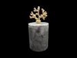 Urestone Gri Mermer 9X 10 Mercan Detaylı Pamukluk-Mermer Kapaklı Kutu-Gold Aksesuarlı