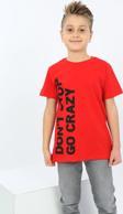 Toontoy Erkek Çocuk Dont Stop Go Crazy Baskılı Tişört