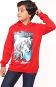 Toontoy Erkek Çocuk Baskılı Sweatshirt