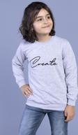 Toontoy Erkek Çocuk Baskılı Sweatshirt