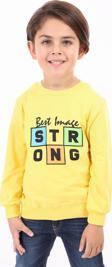 Toontoy Erkek Çocuk Baskılı Sweatshirt