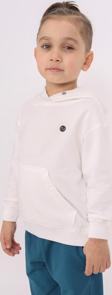 Toontoy Erkek Çocuk Baskılı Sweatshirt