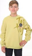 Toontoy Erkek Çocuk Baskılı Sweatshirt