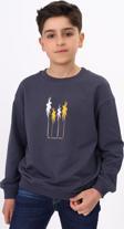 Toontoy Erkek Çocuk Baskılı Sweatshirt
