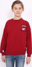 Toontoy Erkek Çocuk Baskılı Sweatshirt