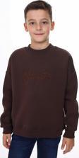 Toontoy Erkek Çocuk Nakışlı Sweatshirt