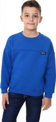 Toontoy Erkek Çocuk Sweatshirt