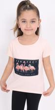 Toontoy Kız Çocuk Flamingo Baskılı Tişört