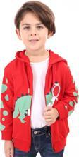Toontoy Erkek Çocuk Baskılı Hırka