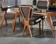 Gazzini Furniture Venüs Ahşap Iskandinav Sandalye