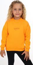 Toontoy Kız Çocuk Nakışlı Sweatshirt