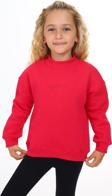 Toontoy Kız Çocuk Nakışlı Sweatshirt