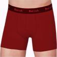 Berrak 4476 Erkek Modal Likralı Boxer 2 Adet