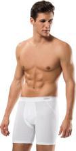 Erdem Erkek Pamuk Elastan Uzun Boxer 1470 - 6 Adet