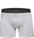 Saran Erkek Likralı Pamuklu Boxer 3103 - 6 Adet