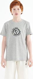 Gri Melanj Nakış İşleme Detaylı O Yaka Standart Kalıp Erkek Çocuk T-Shirt - 11115