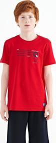 Kırmızı Baskı Detaylı O Yaka Standart Kalıp Erkek Çocuk T-Shirt - 11145