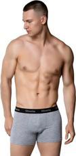 6 Adet Gümüş Erkek Renkli Likralı Spor Boxer 3074