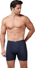 Gümüş Erkek Bambu İnce Bel Elastan Boxer 8007