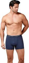 Gümüş Erkek Çizgili Likralı Spor Boxer 3114