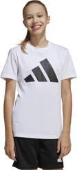 Adidas JC9715 J Bl T-Set Çocuk Eşofman Takımı