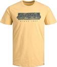 Jack&Jones Erkek Jorbloomer Baskılı T-Shirt 12205787