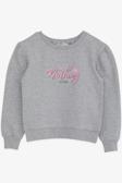 Breeze Kız Çocuk Sweatshirt Simli Yazı Baskılı 8-14 Yaş, Gri Melanj