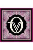 Valentino Orlandi Milano Desenli Eşarp-5-12