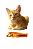 Mıt Kedi Tasması Fosforlu Şeritli