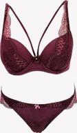 Pierre Cardin Kadın Soft Push Up Sütyen Takımı