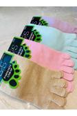Sky Socks 4'Lü Bambu Parmaklı Mantar Önleyici Kokulu Unisex Set Çorap