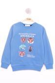 Toontoy Erkek Çocuk Hayvan Baskılı Sweatshirt