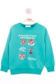 Toontoy Erkek Çocuk Hayvan Baskılı Sweatshirt