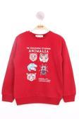Toontoy Erkek Çocuk Hayvan Baskılı Sweatshirt