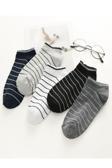 Sky Socks 5'Li Erkek Çemberli Renkli Patik Ekonomik Paket Kısa Spor Sneakers Çorap