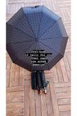 Rainwalker Lüx Özel Saplı Full Otomatik Şemsiye ( 10 Telli )