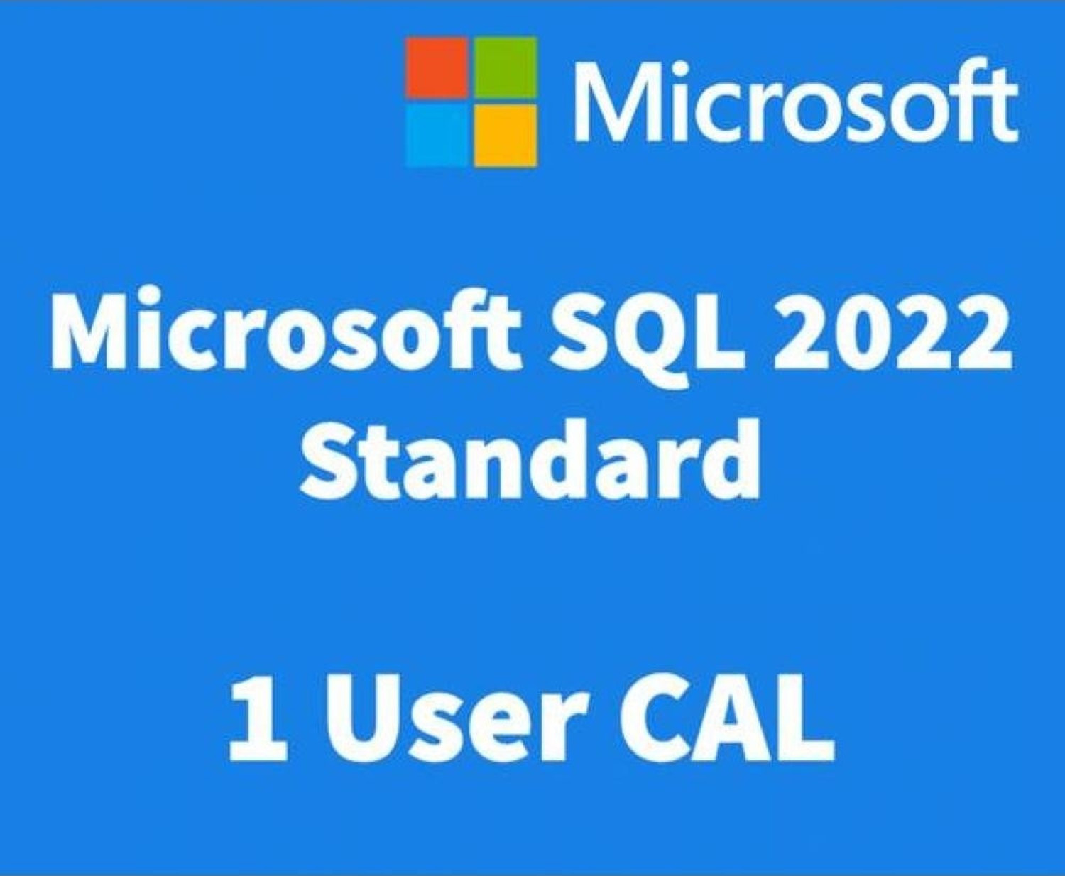 Microsoft SQL Server 2022 - 1 User CAL - idefix