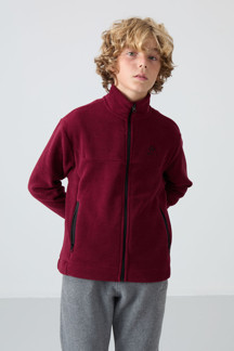 Tommy Life Erguvan Kalın Yumuşak Dokulu Standart Fit Nakışlı Polar Erkek Çocuk Sweatshirt - 11223 - Image 1