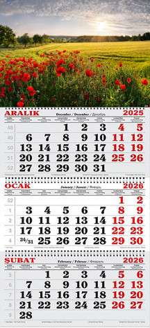 Genç Dijital Baskı 2026 Yılı Gemici Takvimi- Gelincikler ve Yemyeşil Ova - Image 1
