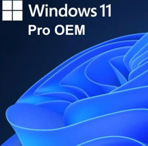 Microsoft Windows 11 Pro OEM Lisans Key - Image 1