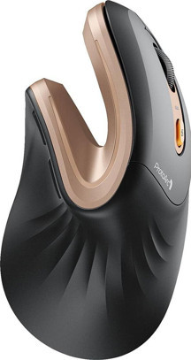 ProtoArc EM11 NL Siyah Altın Kablosuz Ergonomik Dikey Mouse (CP016806) - Image 1
