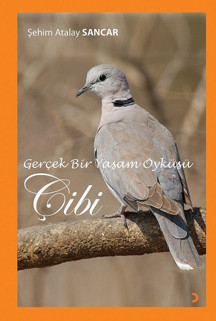 Gerçek Bir Yaşam Öyküsü Çibi - Cinius Yayınevi - Image 1