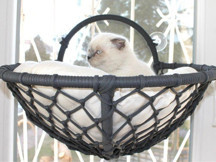 Homedora Grant Kedi Cam Yatağı & Cam Askılı Vantuzlu Kedi Yatağı Antrasit 40x40 cm - Image 1