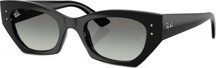 Ray-Ban RB4430 667711 49 Unisex Güneş Gözlüğü - Image 1