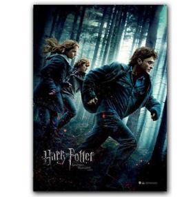 Harry Potter Wizarding World Poster Deathly Hallows Part 1 Afiş