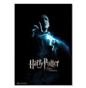 Harry Potter Wizarding World Order of the Phoenix Voldemort Poster