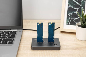 DIGITUS NVMe Klonlama İstasyonu 2xM.2 SSD USB-C 10Gbps SATA/NVMe Hot-Swap - Image 1