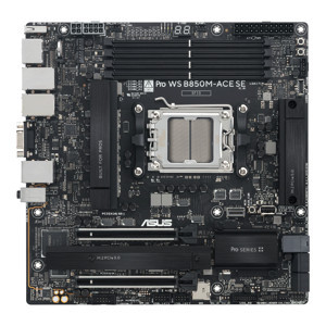 ASUS Pro Ws B850M-Ace Se